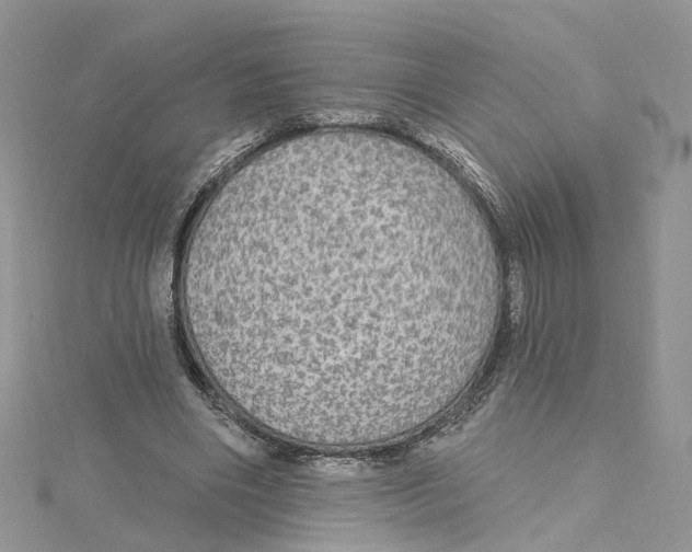 X0000115130490200911171203