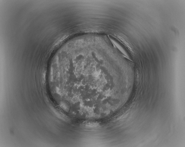 X0000115130491200911171203