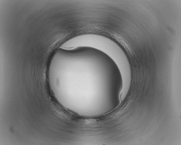 X0000115130501200911171203