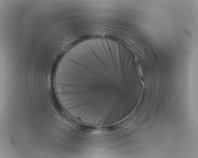 X0000115130504200911171203