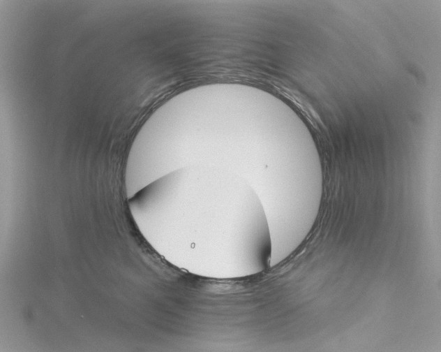 X0000115130521200911171203