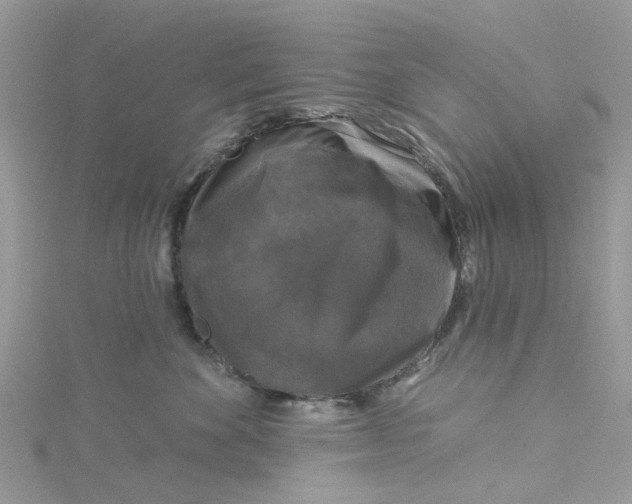 X0000115130524200911171203