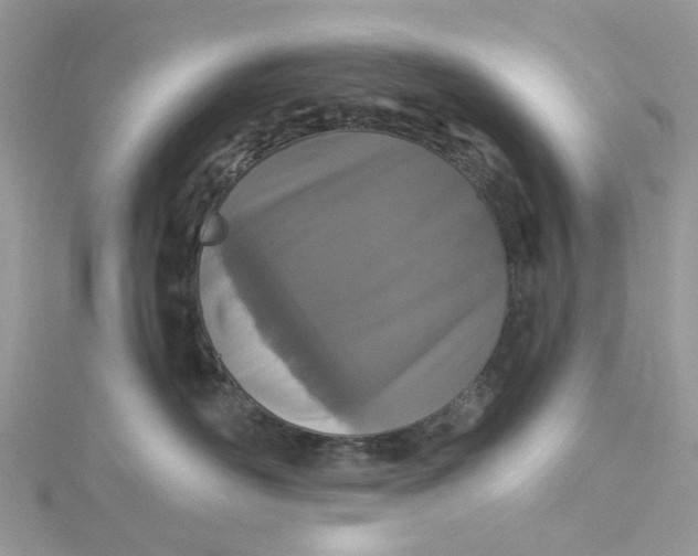 X0000115130526200911171203