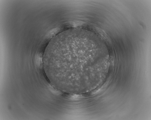 X0000115130527200911171203