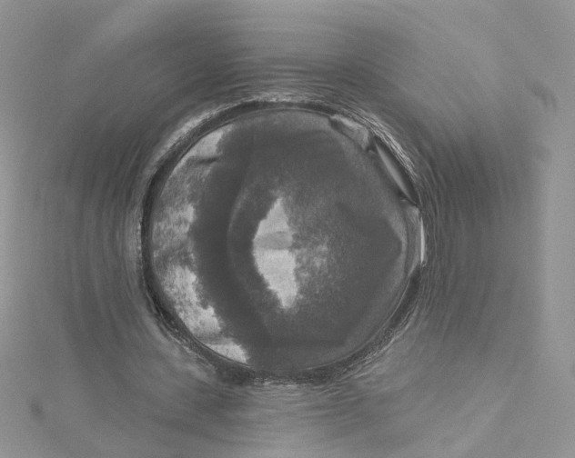 X0000115130531200911171202