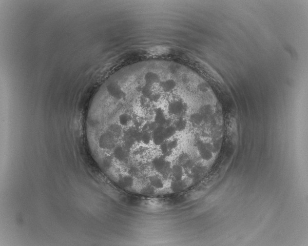 X0000115130565200911171202