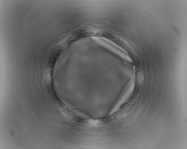 X0000115130570200911171203