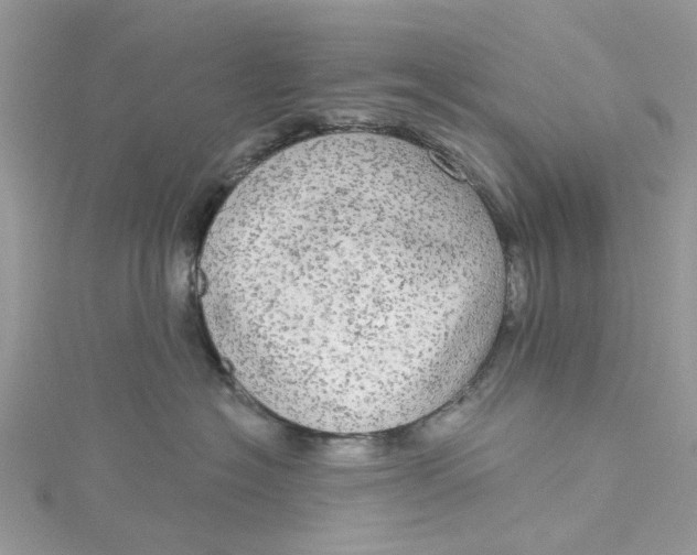 X0000115130574200911171203