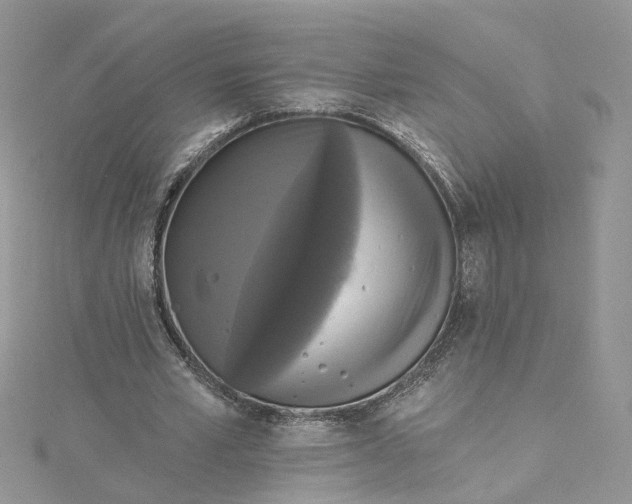 X0000115130581200911171202