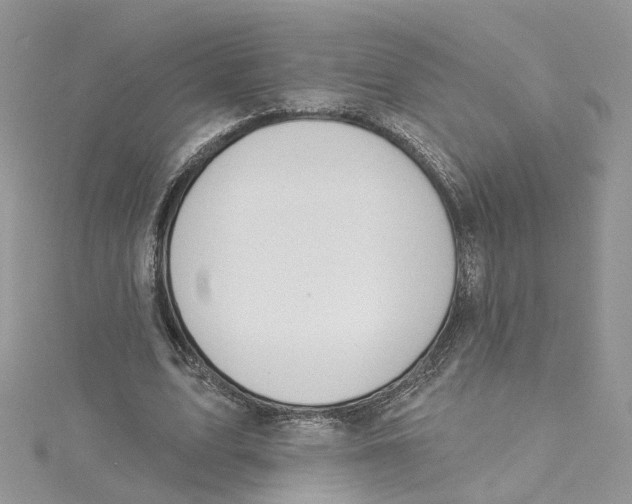X0000115130583200911171202