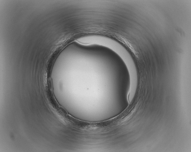 X0000115130589200911171202