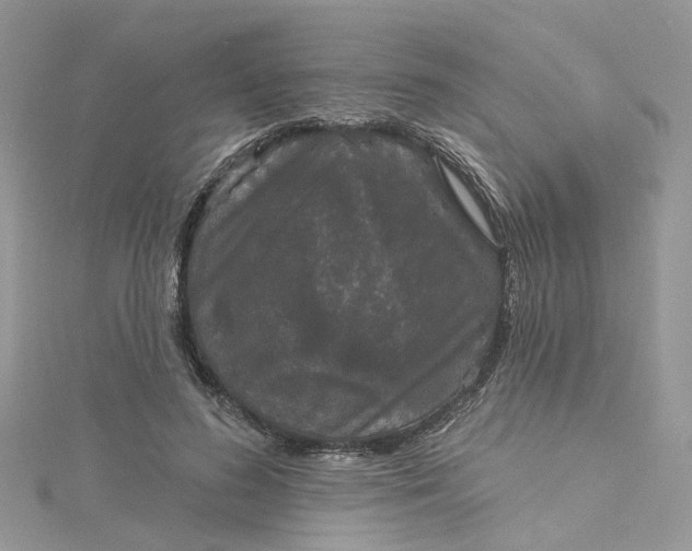 X0000115130596200911171202