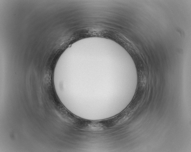 X0000115130603200911171202