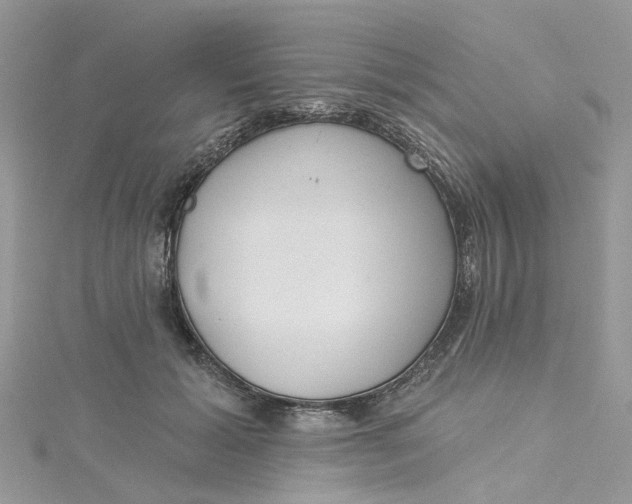 X0000115130605200911171202