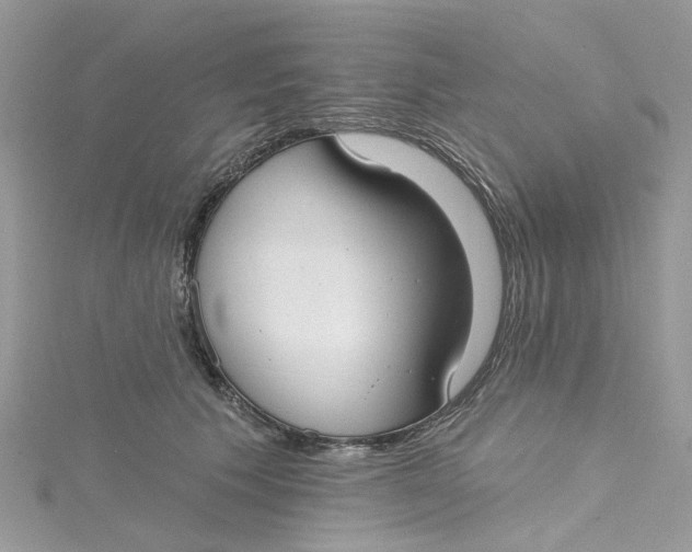 X0000115130609200911171201