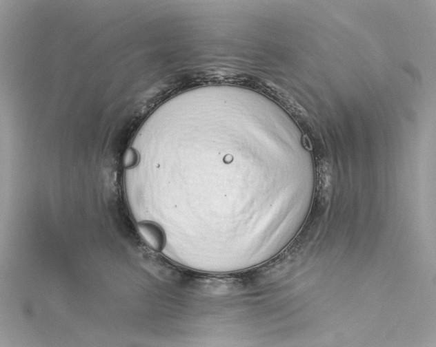X0000115130615200911171201