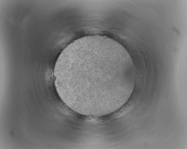 X0000115130624200911171201