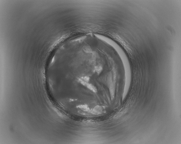 X0000115130634200911171201