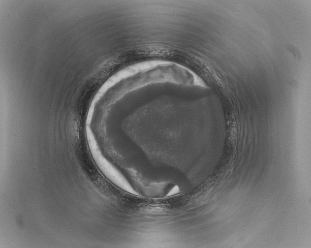 X0000115130643200911171201