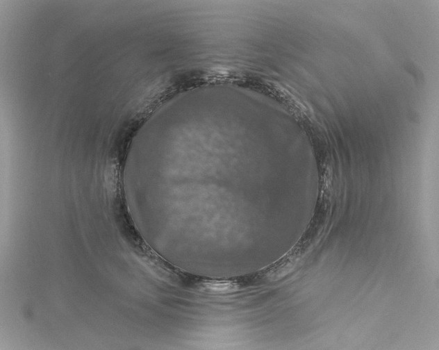 X0000115130659200911171201