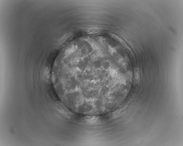 X0000115130667200911171201