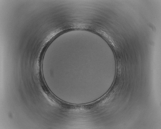 X0000115130674200911171201