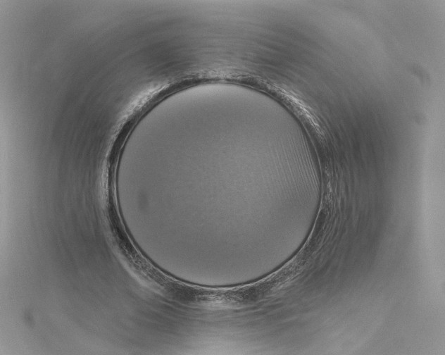 X0000115130678200911171201