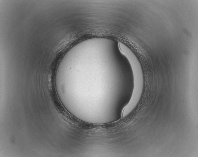 X0000115130696200911171200