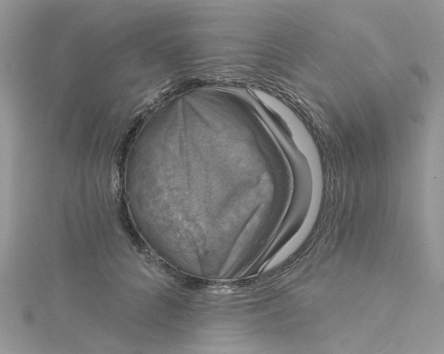 X0000115130704200911171200