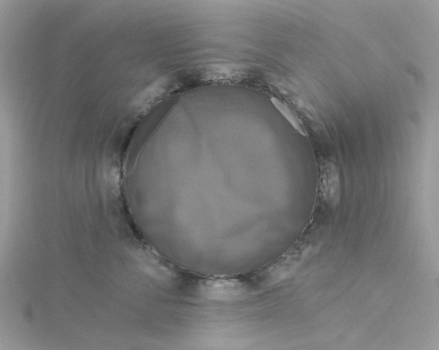 X0000115130716200911171200