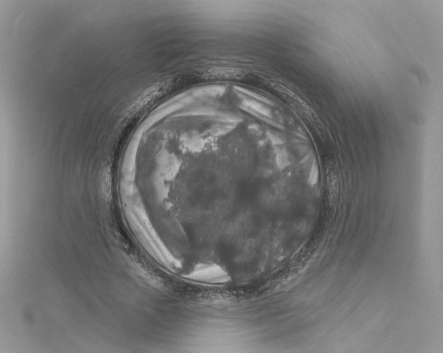 X0000115130729200911171159
