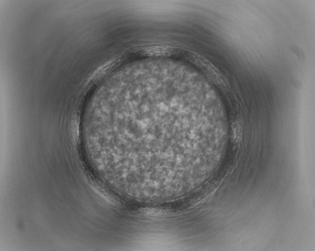 X0000115130733200911171159