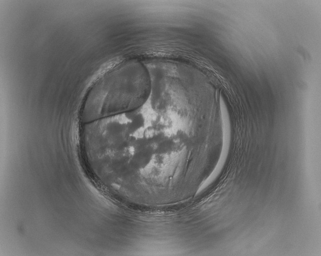 X0000115130734200911171159