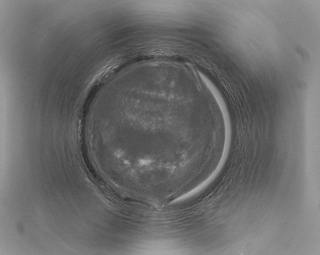 X0000115130735200911171159
