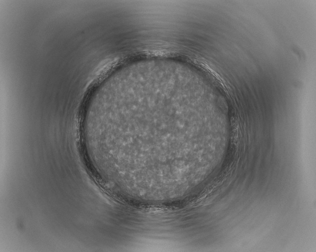 X0000115130738200911171200