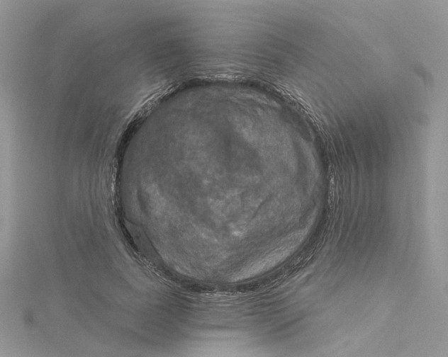 X0000115130739200911171200