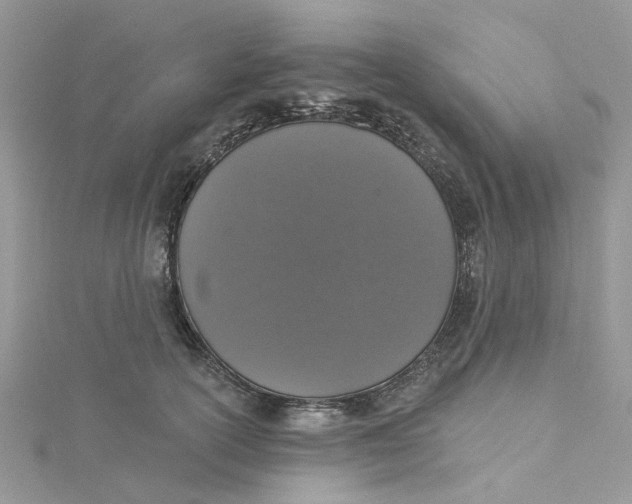 X0000115130754200911171200