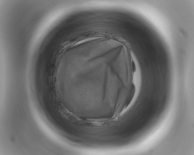 X0000115130766200911171200