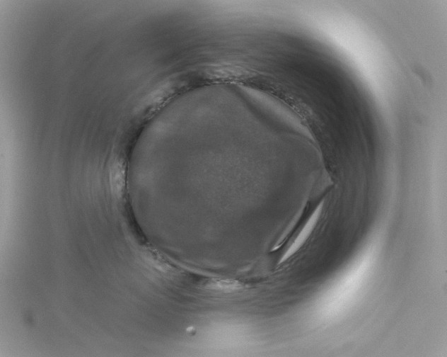 X0000115130767200911171200