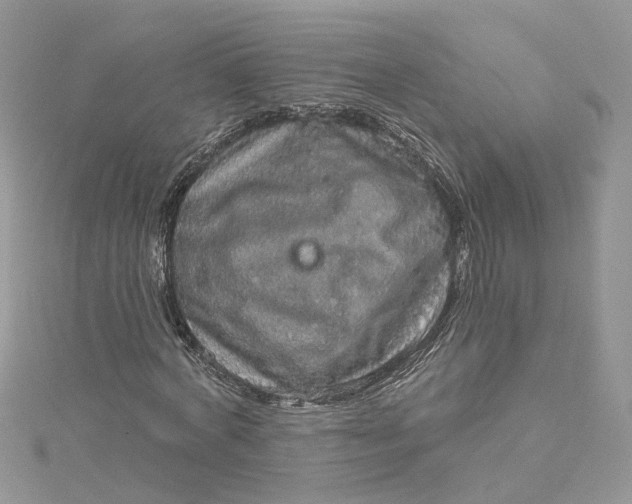 X0000115130772200911171159