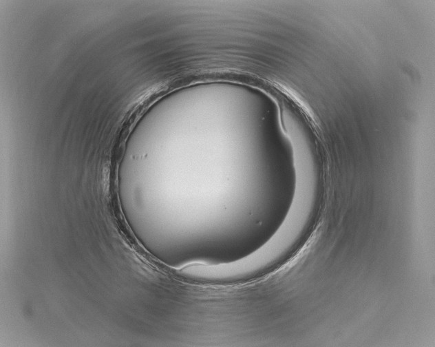 X0000115130777200911171159