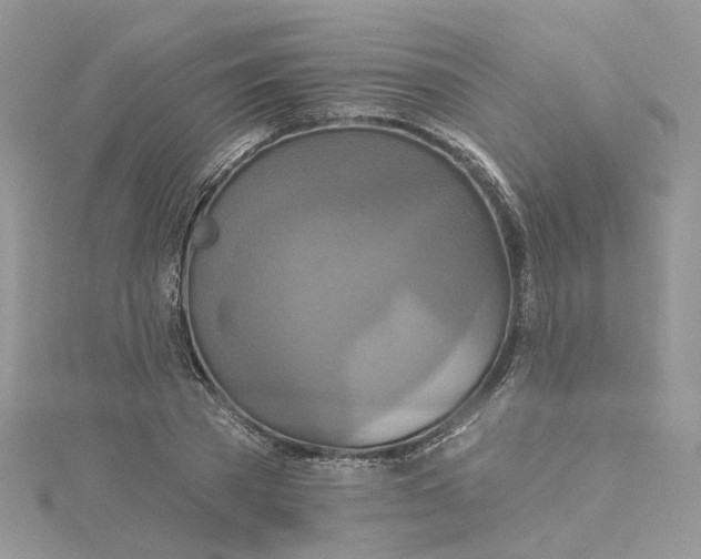 X0000115130785200911171159