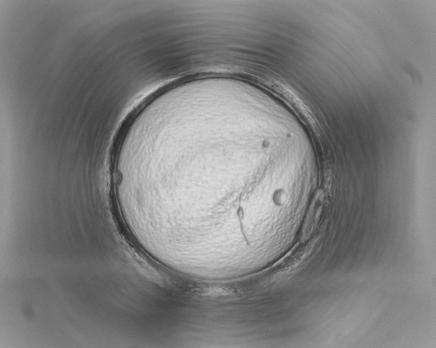 X0000115130787200911171159