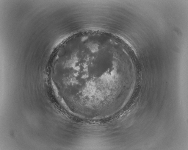 X0000115130823200911171158