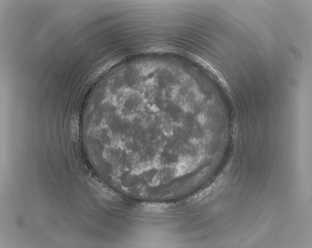 X0000115130825200911171158