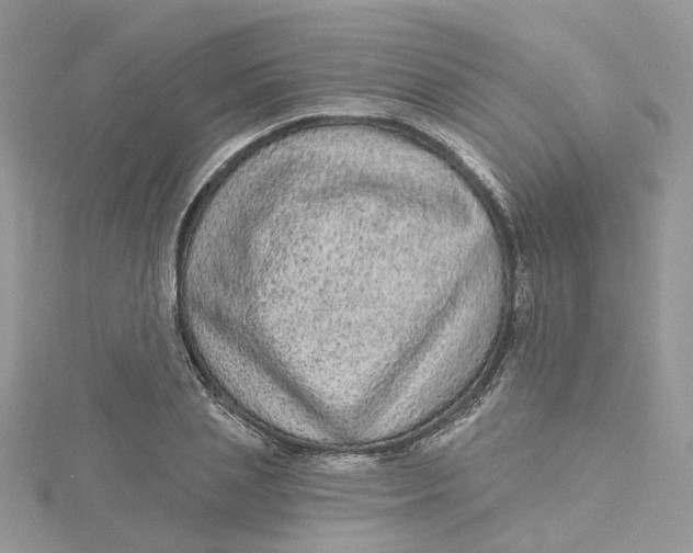 X0000115130837200911171158