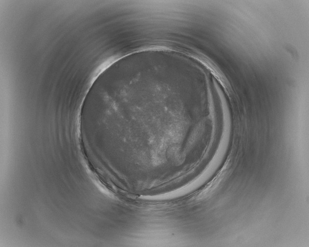 X0000115130858200911171158