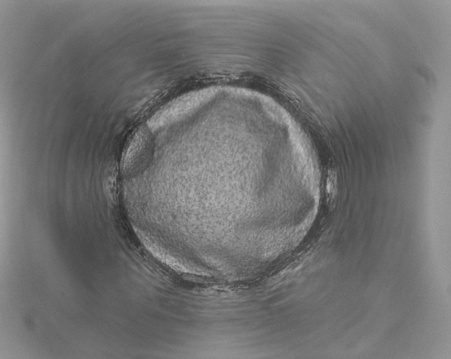 X0000115130867200911171158