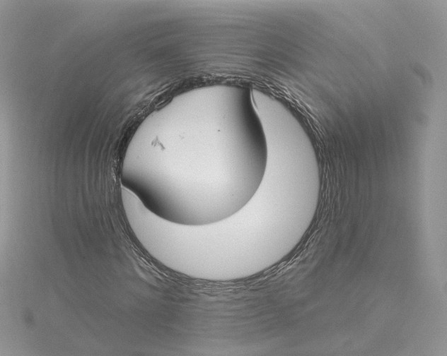 X0000115130868200911171158