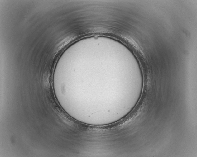 X0000115130873200911171158